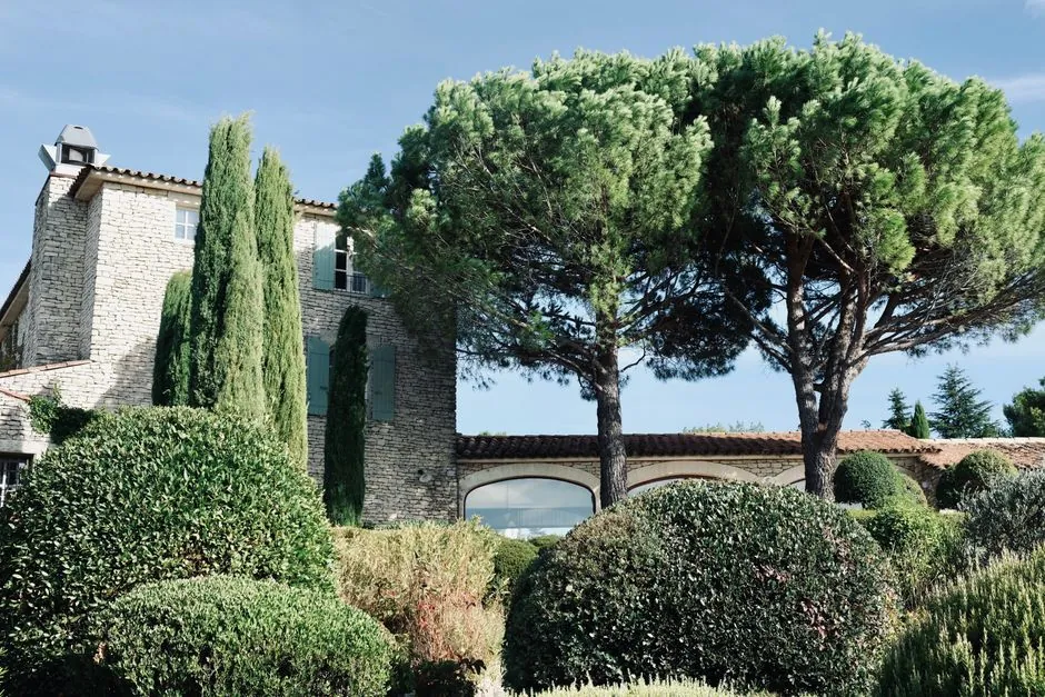 Tonte et entretien d'une pelouse provençale