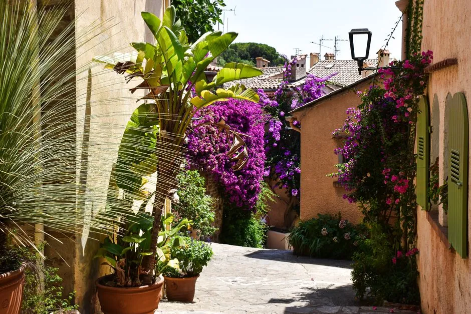 Allée en pierre et plantation méditerranéenne